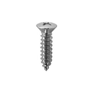 #10 Phillips Oval Head Tap Screw #8 Head Chrome