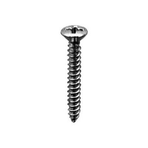 #6 Phillips Oval Head Tap Screw Chrome
