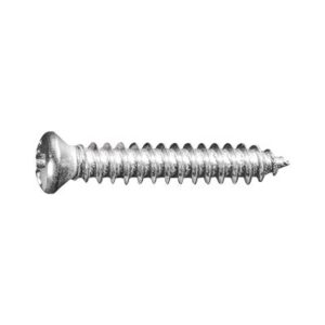 #8 Phillips Oval Head Tap Screw #6 Head Chrome