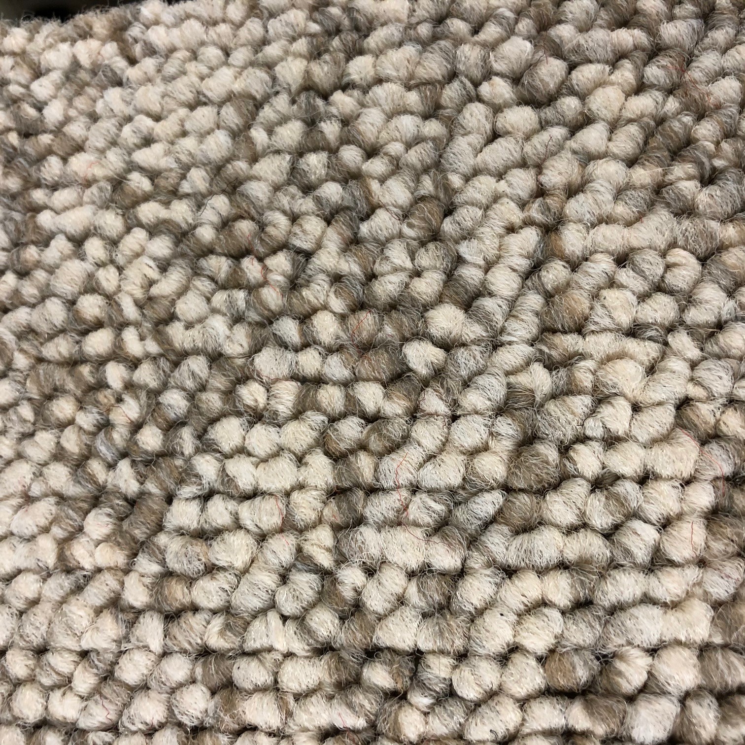 Berber Oatmeal Carpet Royal Upholstery