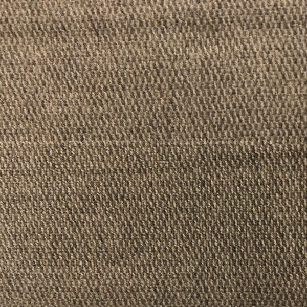 Coral 2 Beige