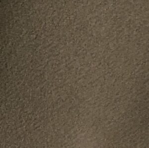 Morgan Gray DET#00.0071