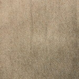 Placid Mild Beige C8052