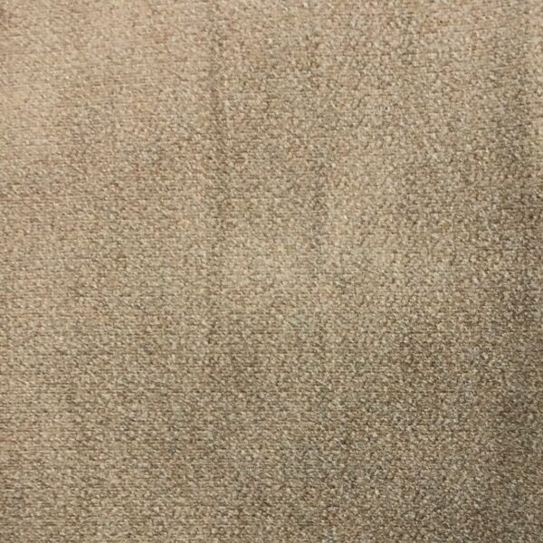 Placid Mild Beige