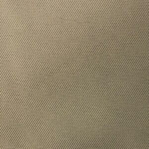 Reno Lt Putty DET#20.2010