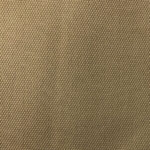 Sandy Ivory DET#14.14815