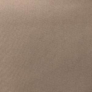 SW231 Warm Beige