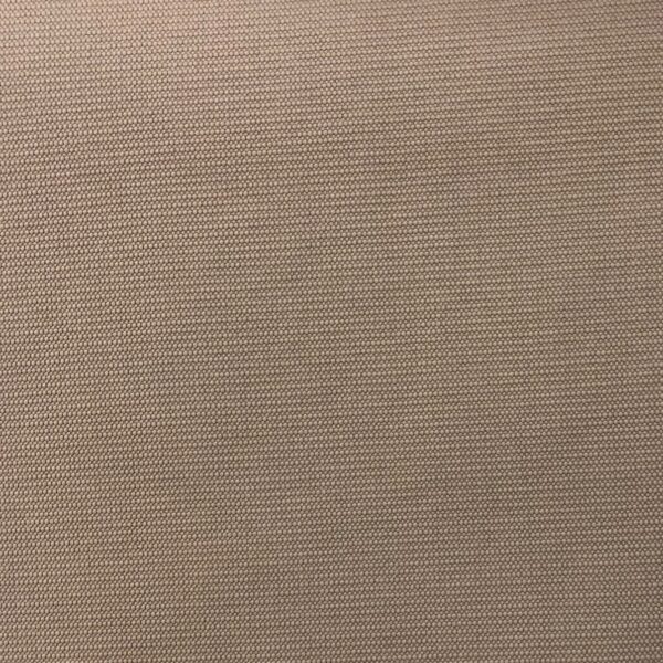 SW231 Warm Beige