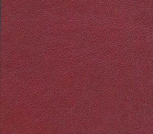 Embrace Cantina Recycled Leather