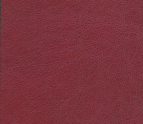Embrace Cantina Recycled Leather
