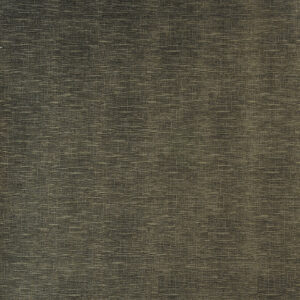 Carina - Closeout